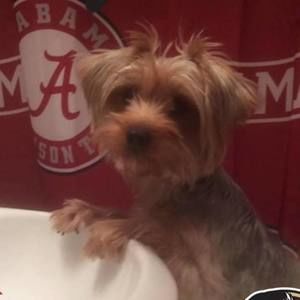 Meet your Posher, Mike